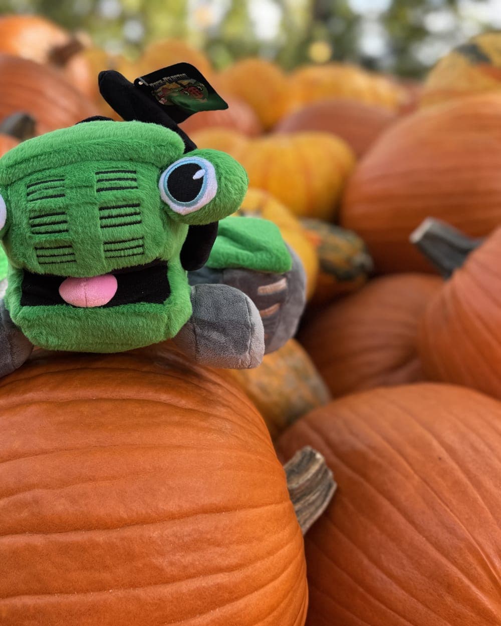 Green Zack tractor plushie sitting on a pumpkin