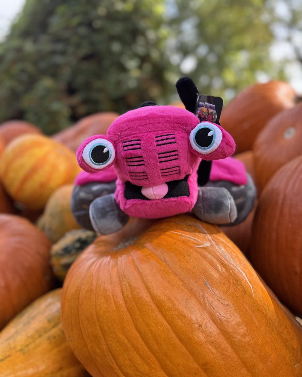 Pink Daisy tractor plushie sitting on a pumpkin