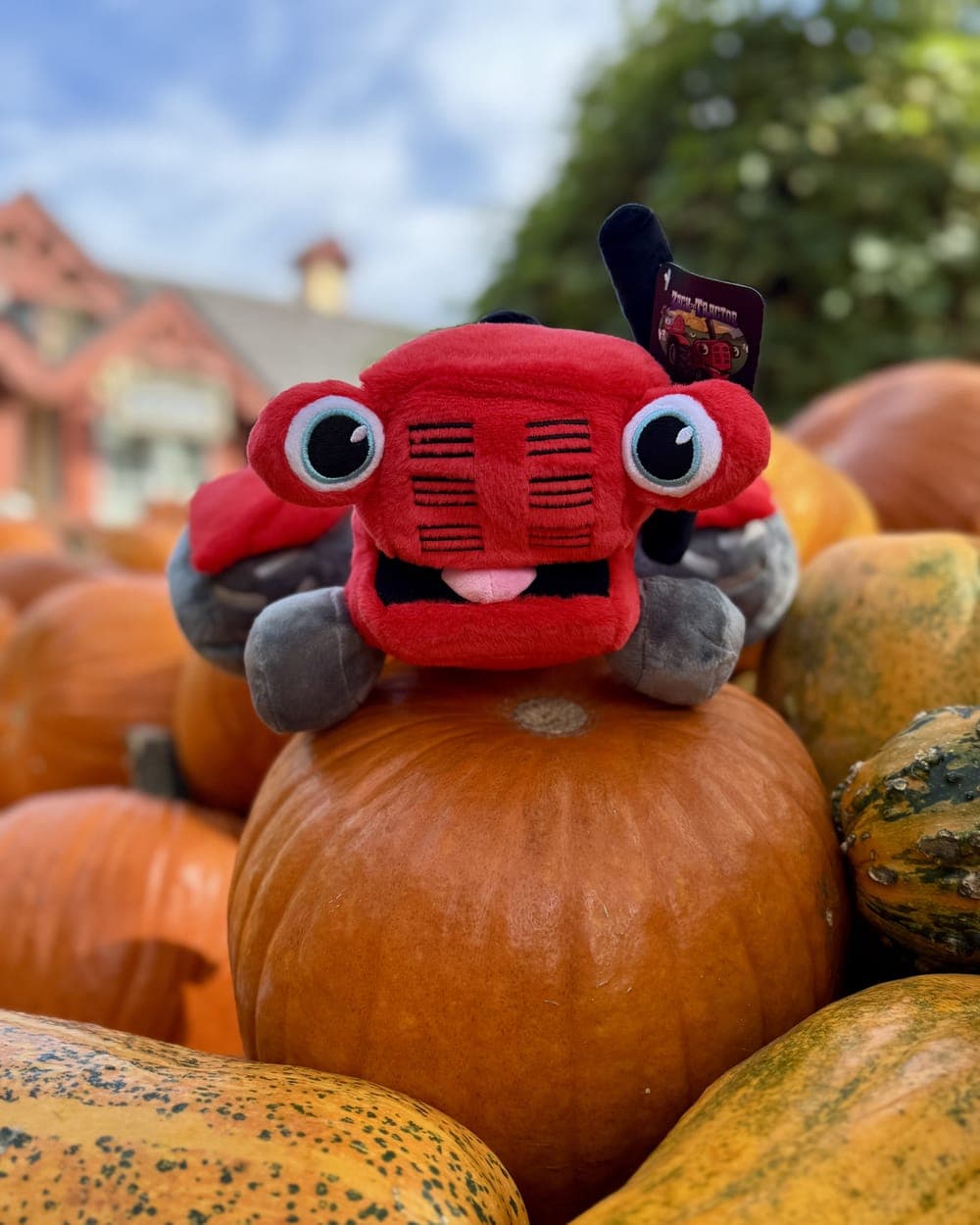 Red Zack tractor plushie sitting on a pumpkin